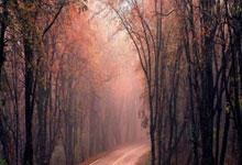 星空体育：魔球继续！凯尔特人本赛季第6次外线出手60+.