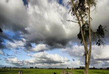 星空体育：巴神时隔1701天重返意甲 球迷想要球衣巴神脱球裤.