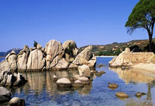 星空体育：津媒：杜月徵若缺席国青队本月集训，落选亚洲杯名单并非不可能.